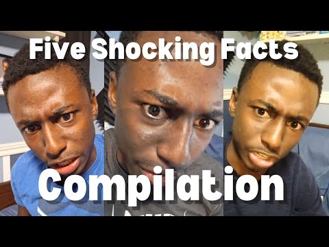 5 Shocking Facts Facts Interestingfacts Youtube 5 Shocking Facts Facts Interestingfacts Youtube