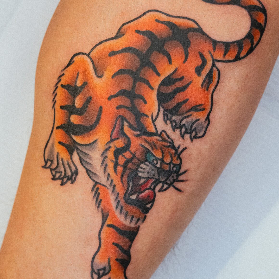 60 American Traditional Tiger Tattoo Ideas Tiger Tattoo Traditional 60 American Traditional Tiger Tattoo Ideas Tiger Tattoo Traditional