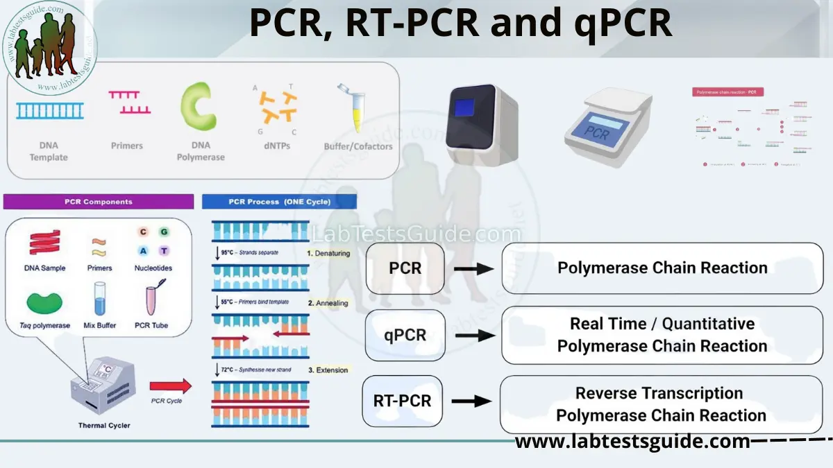 A Bioinformatics Workflow For The Evaluation Of Rt Qpcr Primer Specificity Application For The Assessment Of Gene Expression Data Reliability In Toxicological Studies Sciencedirect A Bioinformatics Workflow For The Evaluation Of Rt Qpcr Primer Specificity Application For The Assessment Of Gene Expression Data Reliability In Toxicological Studies Sciencedirect