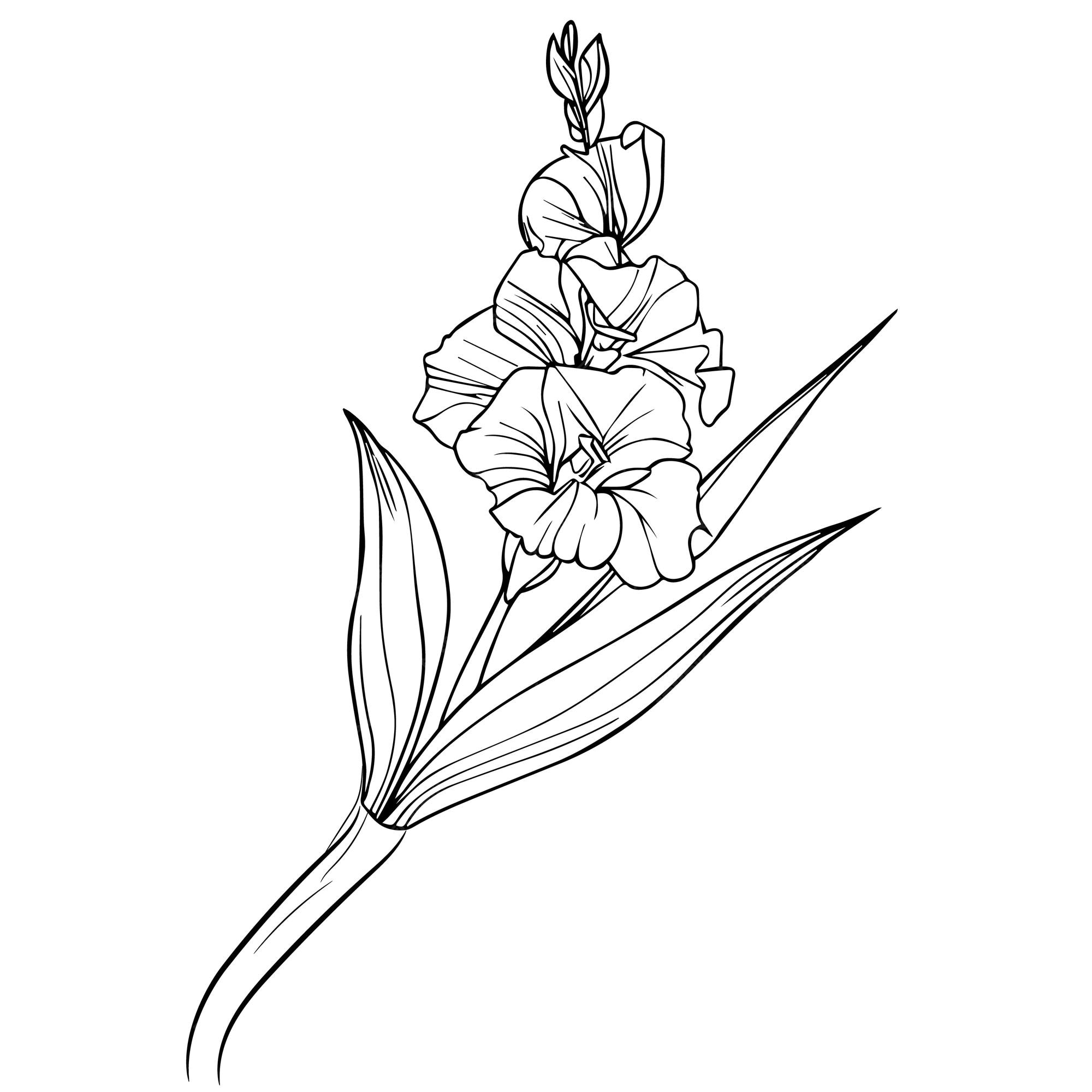 Beautiful Nice Gladiolus Flowers Tattoo Stencil Gladiolus Flower Beautiful Nice Gladiolus Flowers Tattoo Stencil Gladiolus Flower