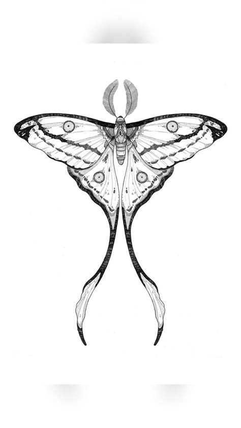 Best Moth Tattoo Designs And Meanings Artofit Best Moth Tattoo Designs And Meanings Artofit