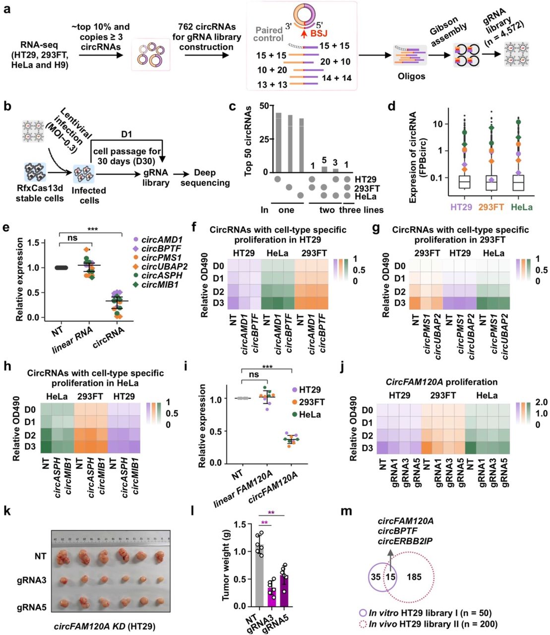 Can 293Ft Cells That Have Been Detached By Pbs Become Lentiviruses Researchgate