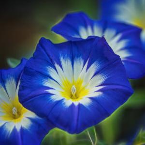 Corinna's Nude Scandal: 5 Takeaways