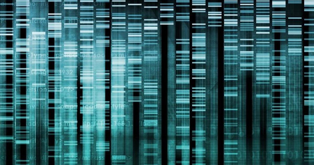Cracking Your Genetic Code Answer Key Docx Cracking Your Genetic Code Answers Included In Here What Is Genomics An Area That Focuses Course Hero