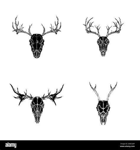 Deer Skull Tattoos Images Browse 6 532 Stock Photos Vectors And Video Adobe Stock Deer Skull Tattoos Images Browse 6 532 Stock Photos Vectors And Video Adobe Stock