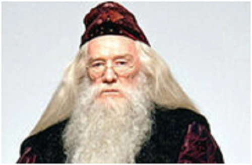 Educational Proclimations Harry Potter: A Concise Primer