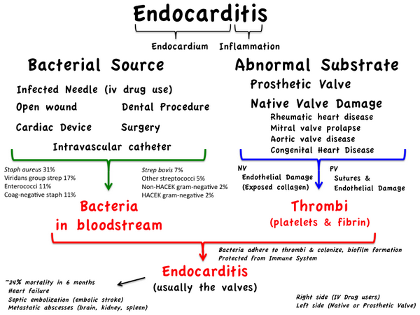 Embolic Risk Management In Infective Endocarditis Predicting The Embolic Roulette Open Heart Embolic Risk Management In Infective Endocarditis Predicting The Embolic Roulette Open Heart