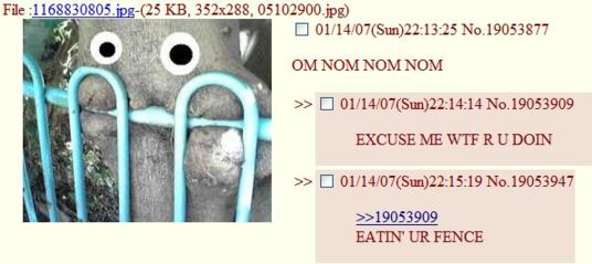 Excuse Me Wtf Is This R Hollowknight