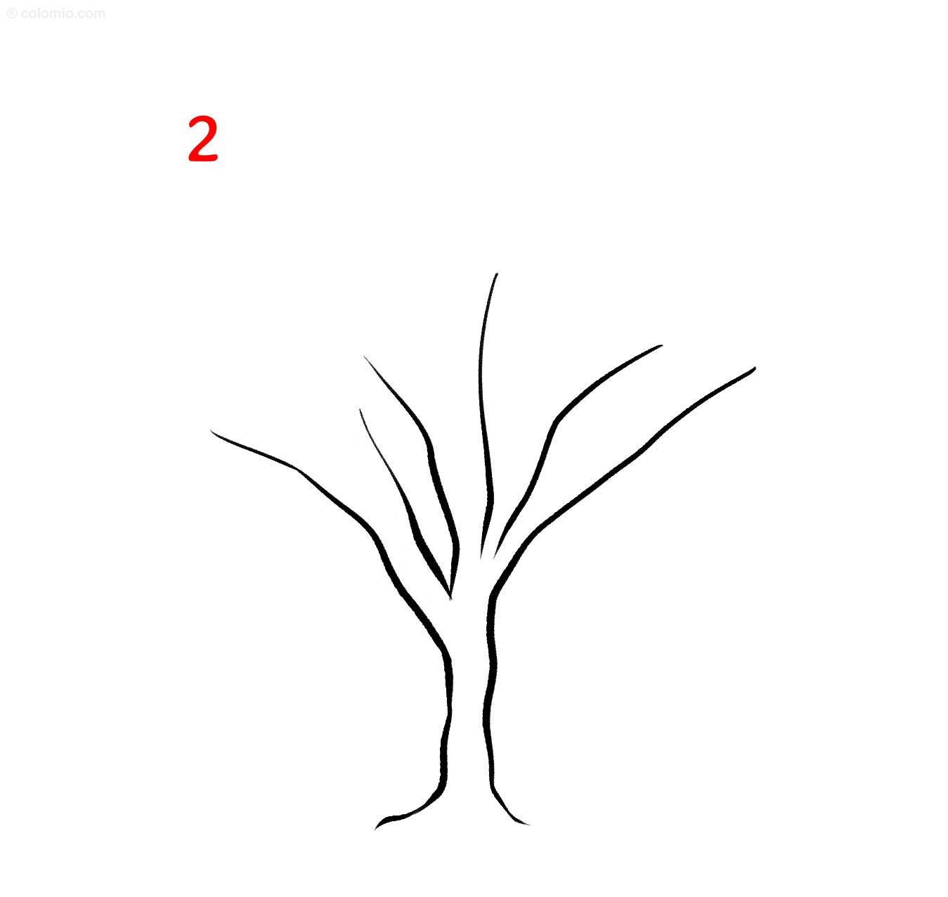 Mastering Hickeroy Tree Drawing With Quick, Bold Sketches