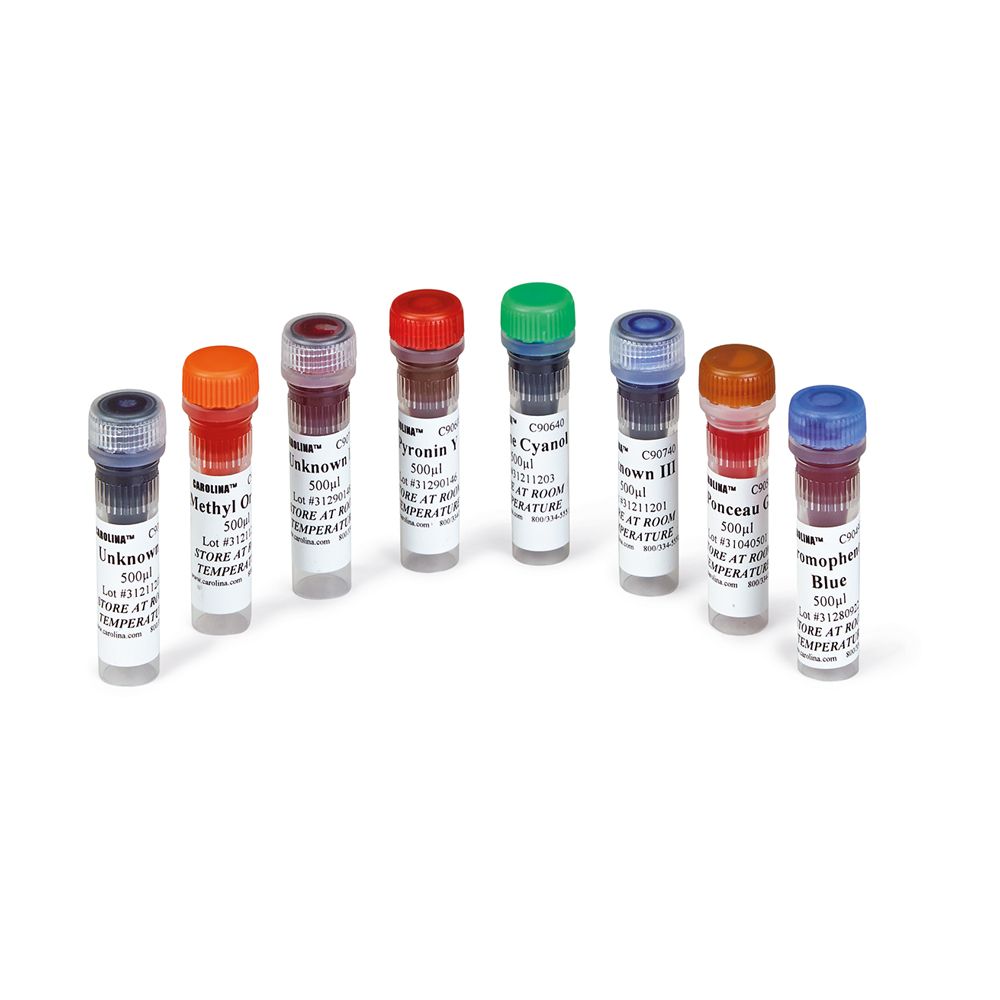 Introductory Gel Electrophoresis Kit Introductory Gel Electrophoresis Kit