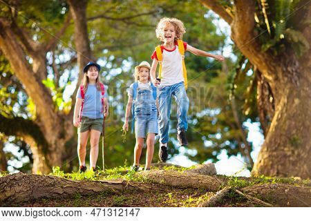 Kids Explore Nature Children Hike In Sunny Park Stock Photo Image Of Kids Explore Nature Children Hike In Sunny Park Stock Photo Image Of