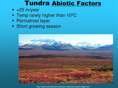 Limitjung Factors Of Tundra Decoded: Survival Science