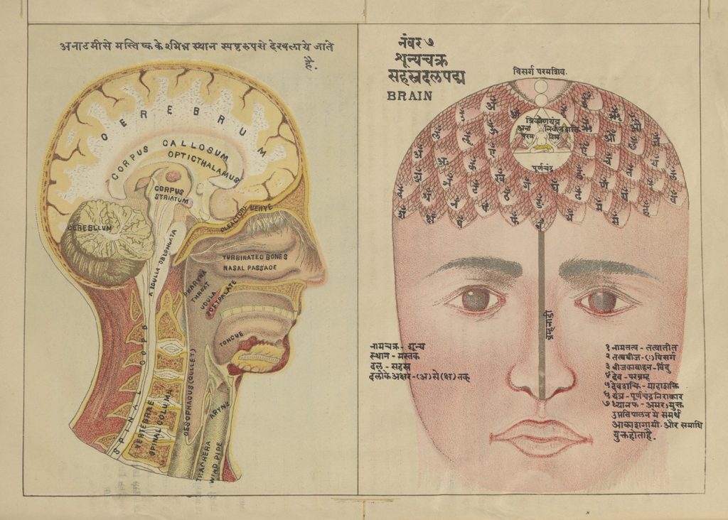 Mapping The Body With Amp 39 Ayurvedic Man Amp 39 In 18Th Century Nepal Brewminate