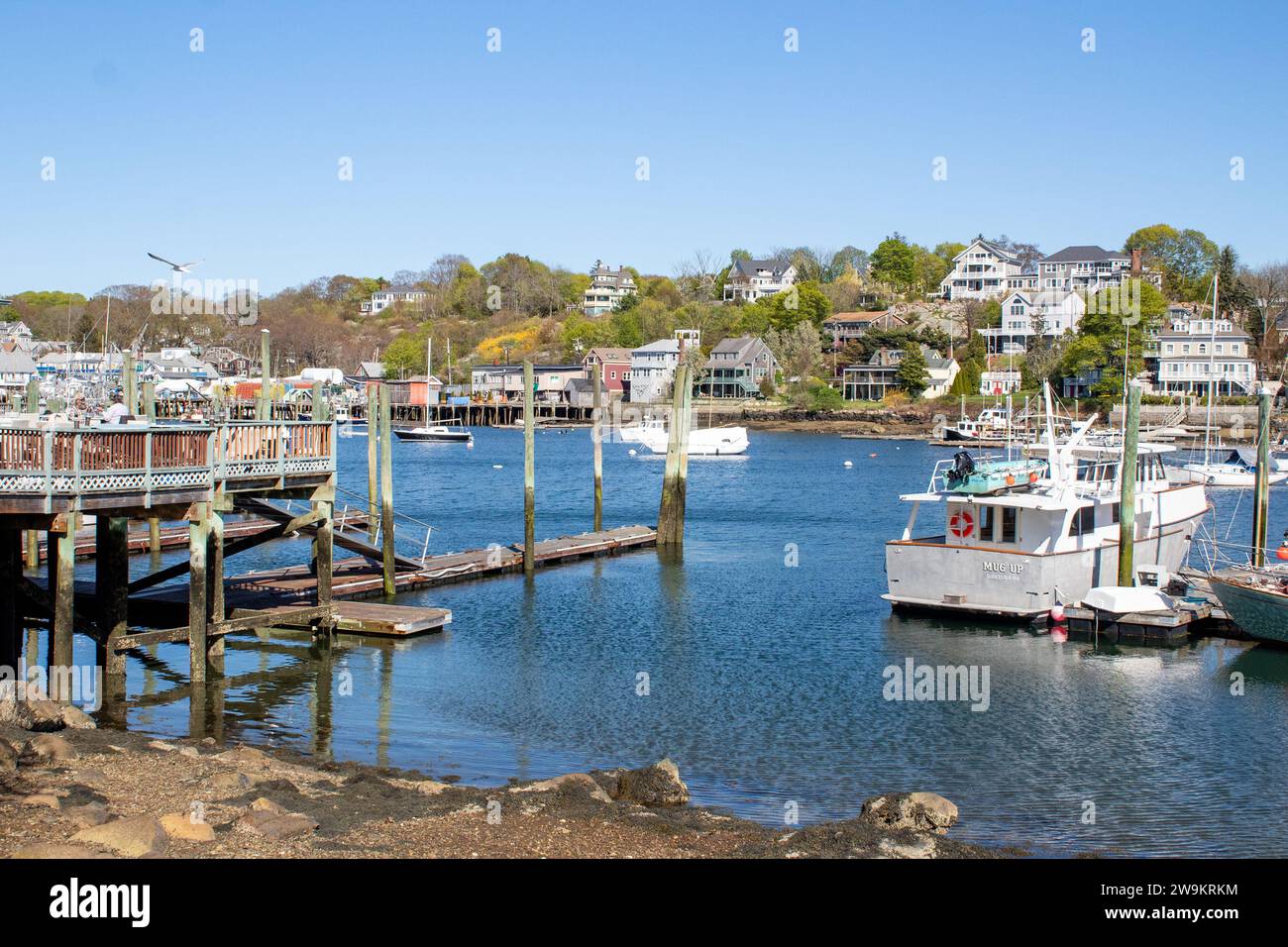 Avoid This Common Mistake In New England United States Traditions