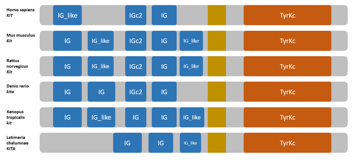 Common Pitfalls In Estimating The Number Of Protein Domains
