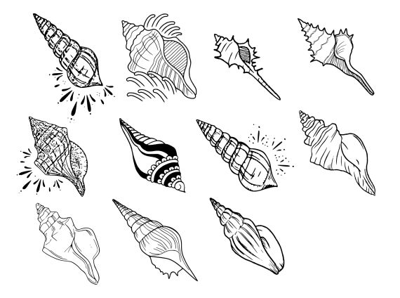 Pretty Conch Shell Tattoo