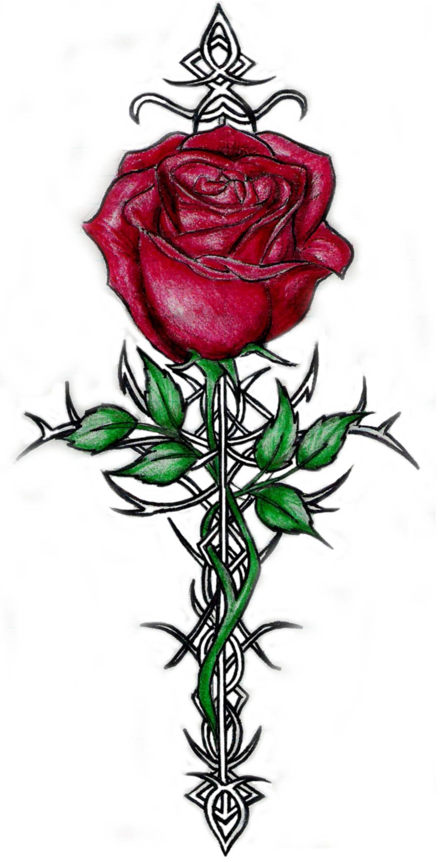 Rose And Thorns By Isalwaysinspired On Deviantart Thorn Tattoo Rose