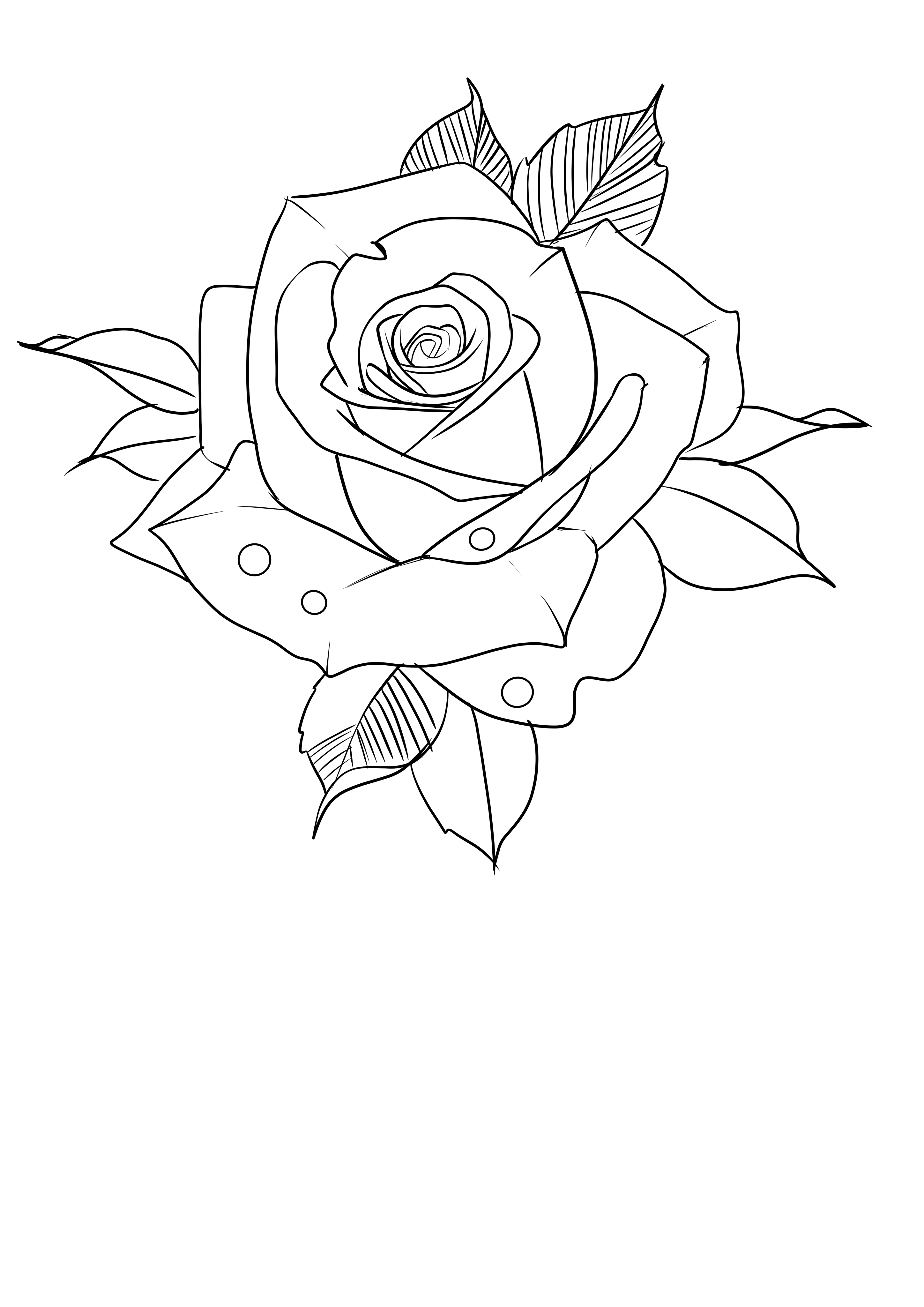 Rose Tattoo Design Outline