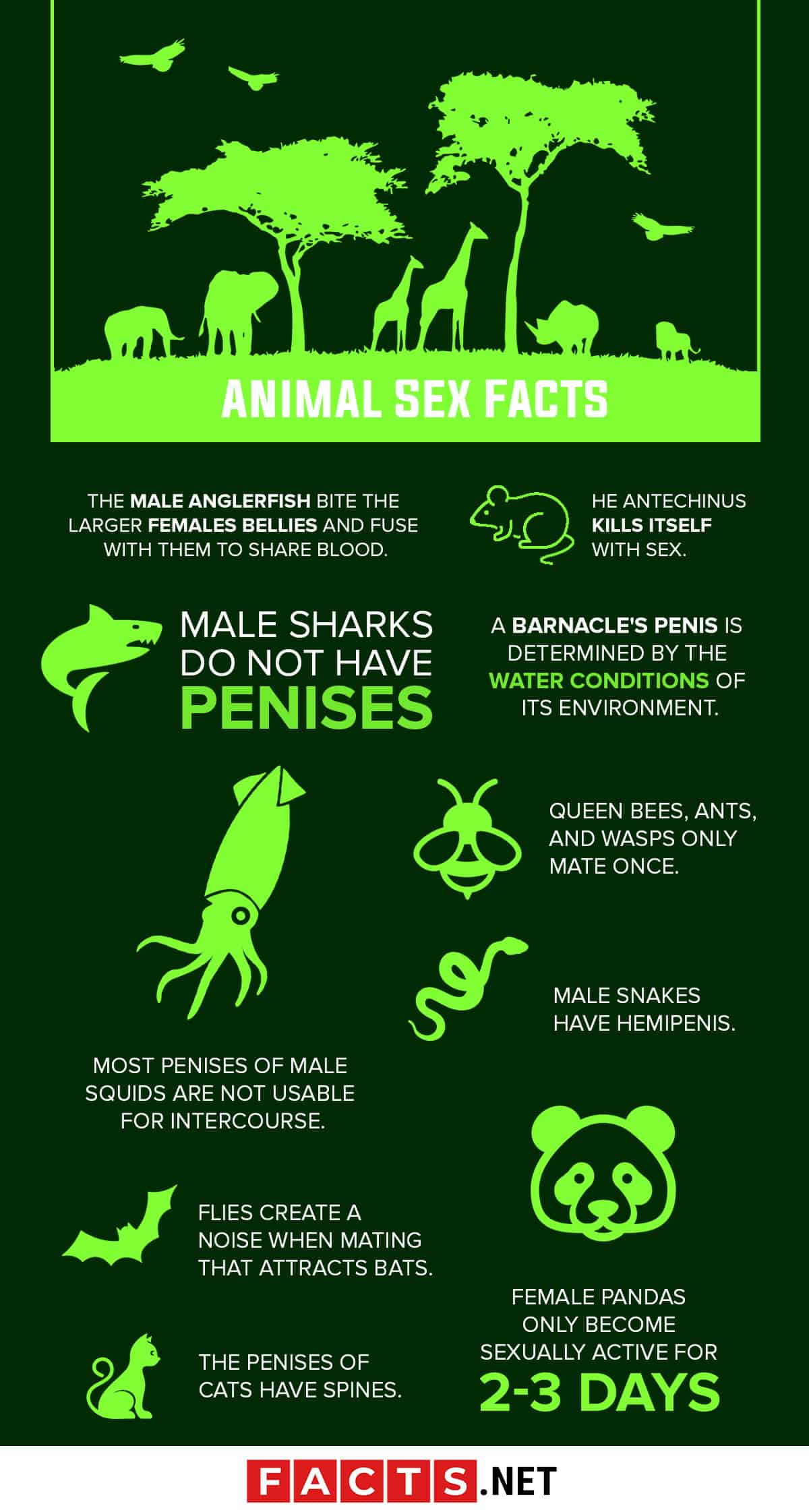 The Ultimate Sex Facts List
