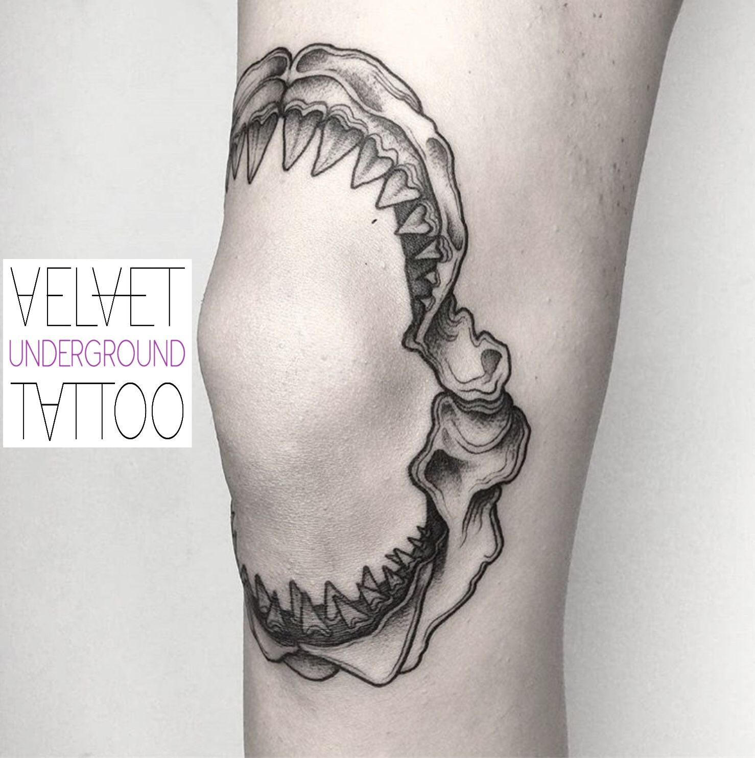 Shark Jaw Tattoo