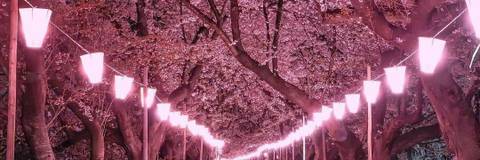 Shy Shyness X Onlyfans Account Best Shyness X Photos And Videos 8 For Free Thefap Org Shy Shyness X Onlyfans Account Best Shyness X Photos And Videos 8 For Free Thefap Org