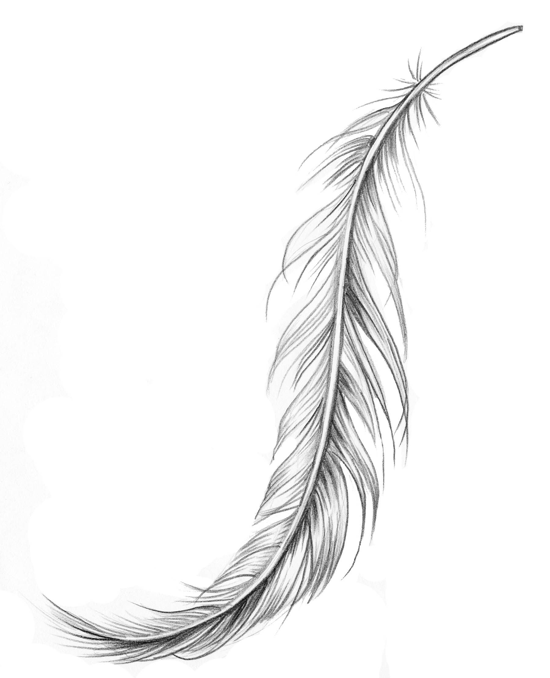 Simple Feather Tattoo Outline Watercolor Tattoo Design