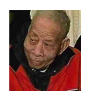 Standing Horse Tattoo At William Gainey Blog