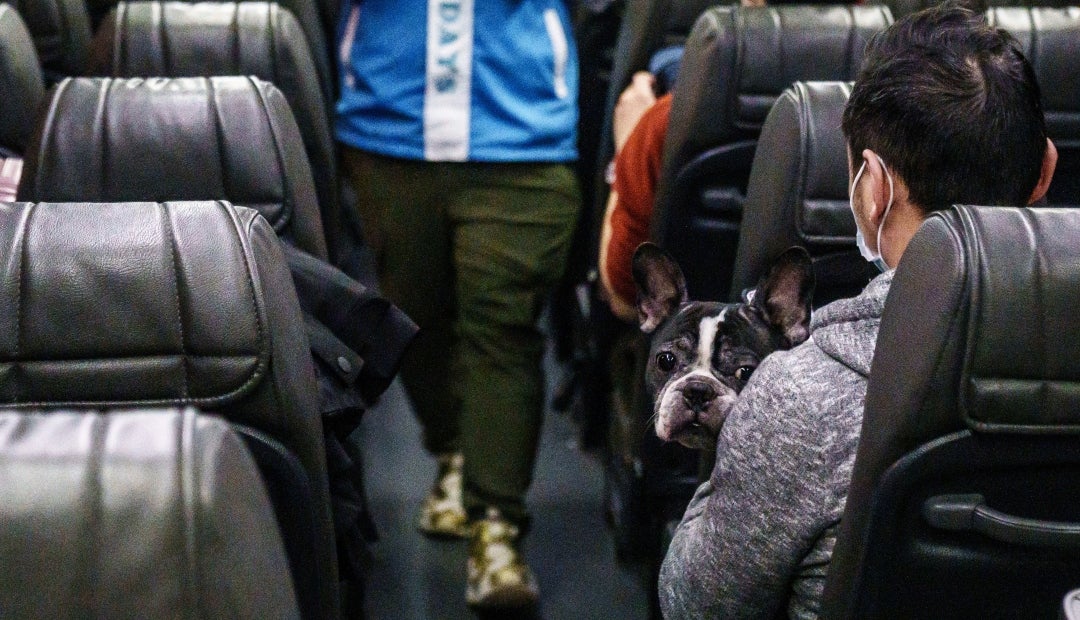 Sydney Opera House S Dney Lo Que Se Debe Saber Antes De Viajar