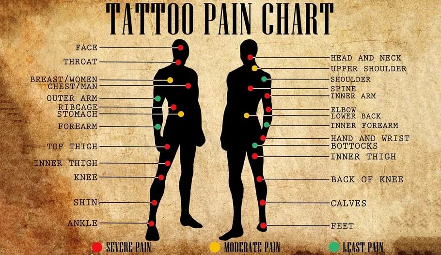 Tattoo Pain Body Chart