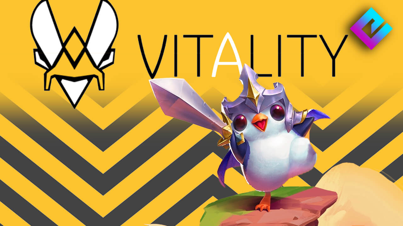 Team Vitality Signs Teamfight Tactics Player Salvyyy