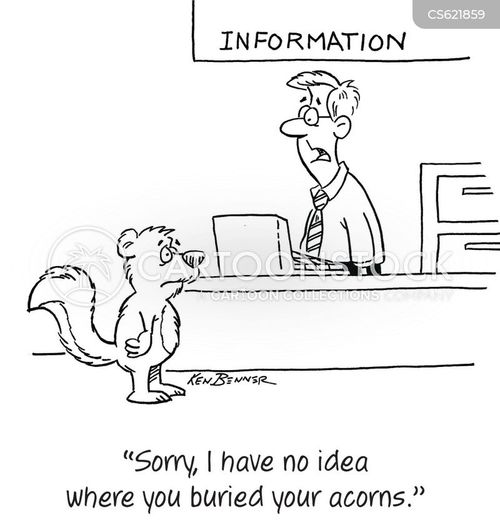 The Forager S Dilemma The Forager S Dilemma