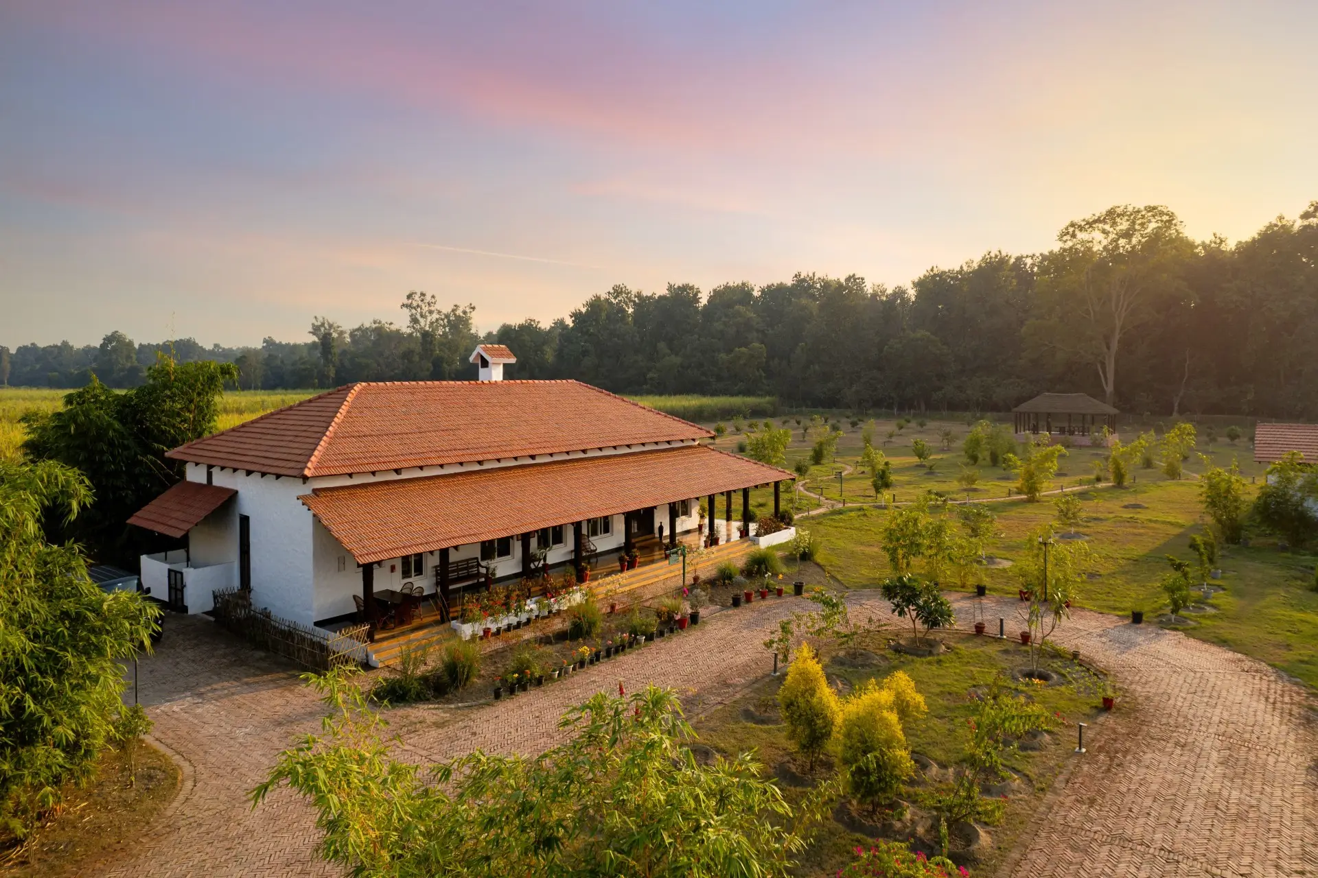 Tiger Lily From My Flash Tiger Lily From My Flash