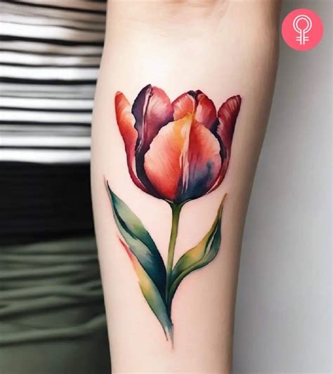 Tulip Tattoo Ideas 8 Best Designs And Their Meanings Tulip Tattoo Ideas 8 Best Designs And Their Meanings