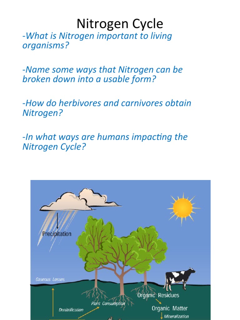 Future Of Umn Calibration Strip Nitrogen In Precision Farming