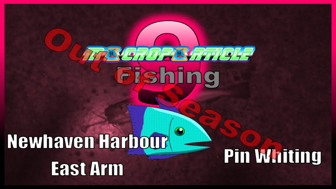 What Is Macroparticle And How Does It Change Our View Of Matter?