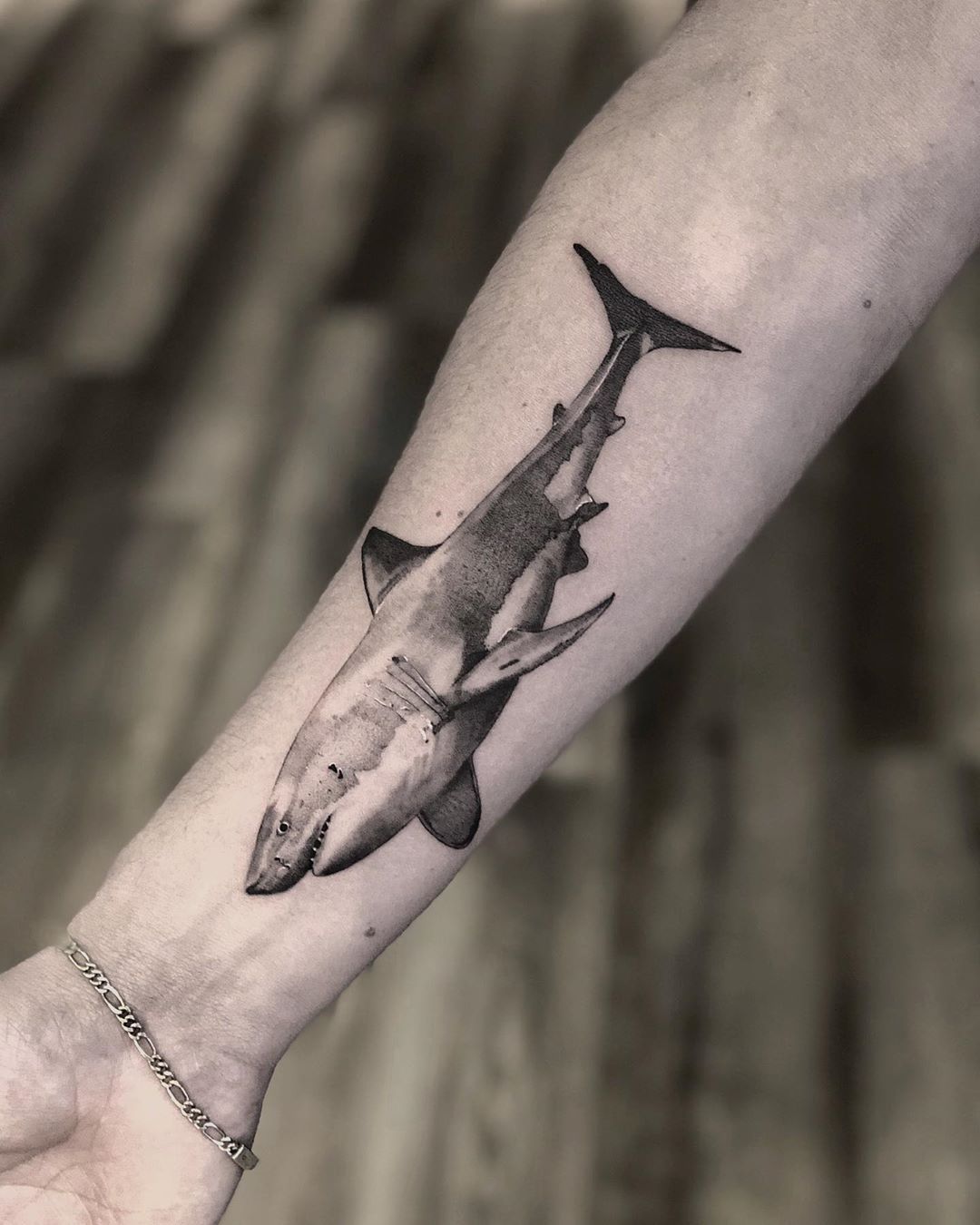 White Shark Tattoos