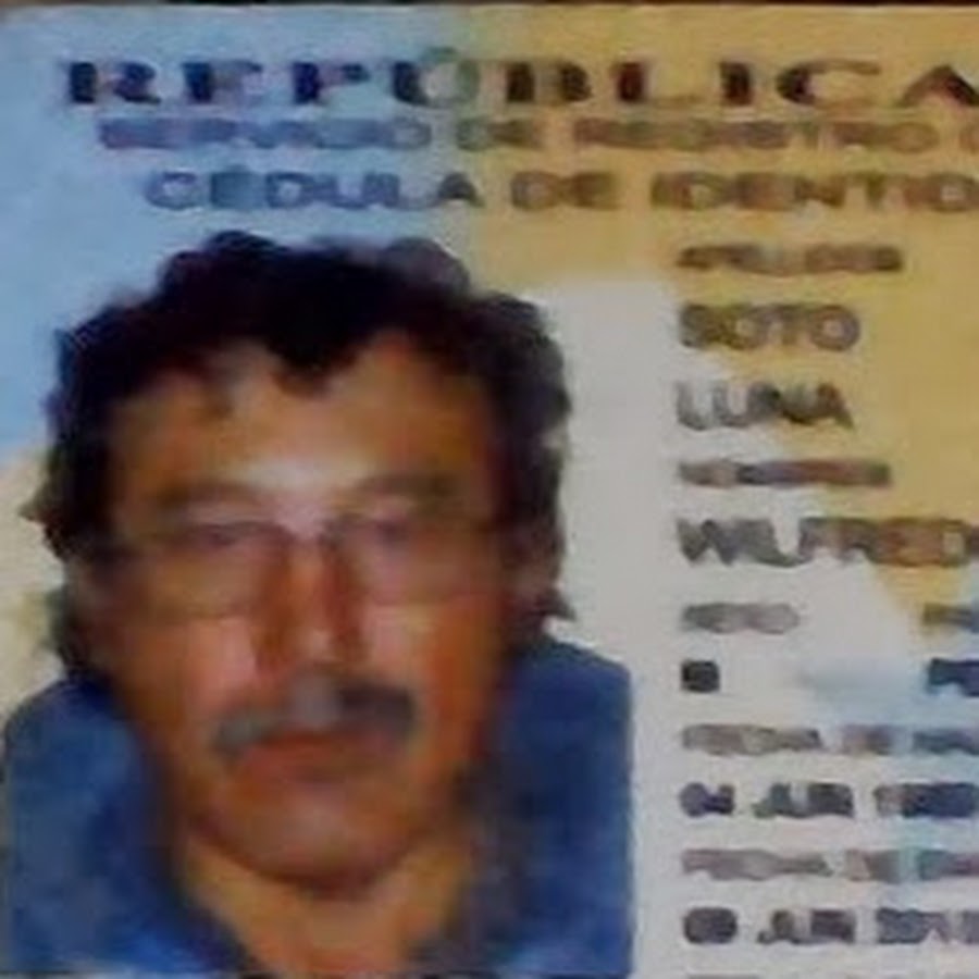 Wilfredo Soto Carmody: Financial Profile And Investment Insights