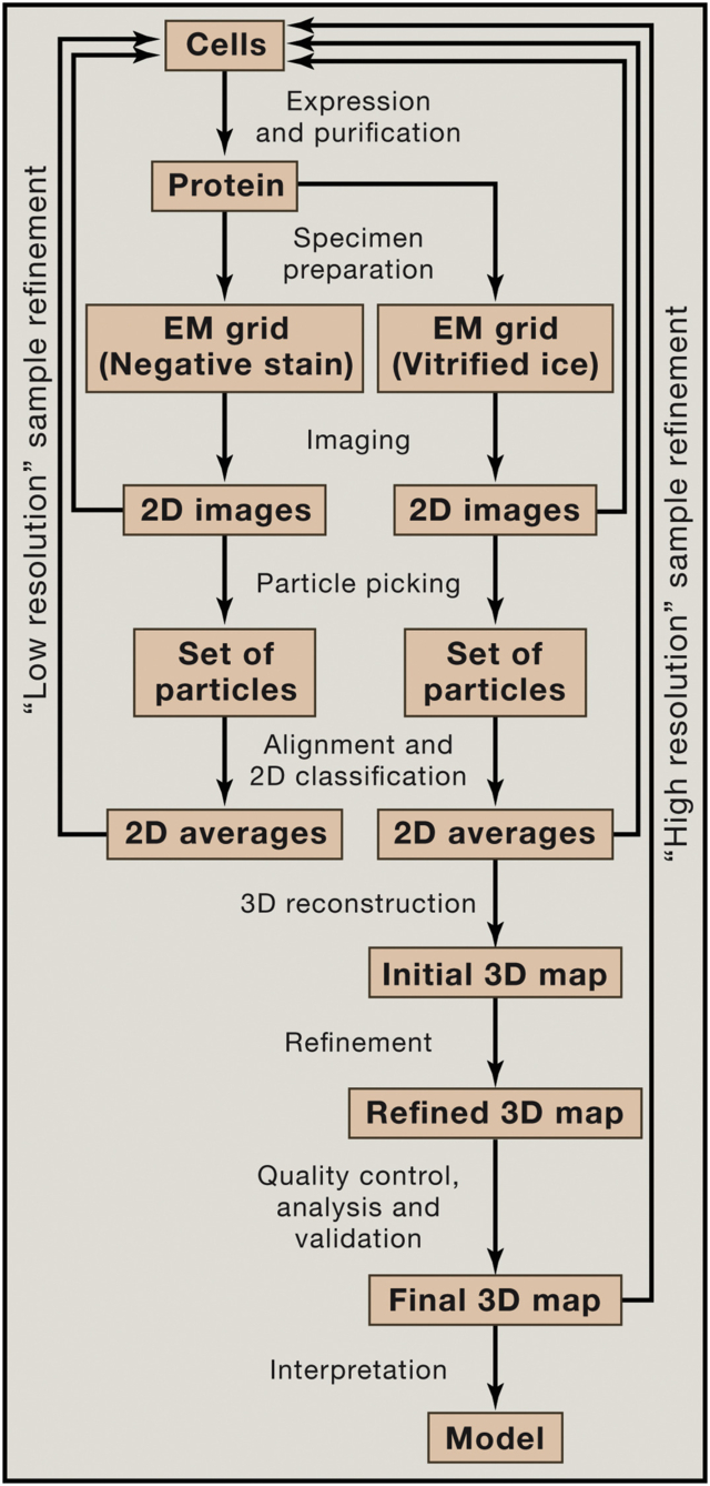 Warning: Common Mistake With Yale Cryo Em Core - How To Avoid It